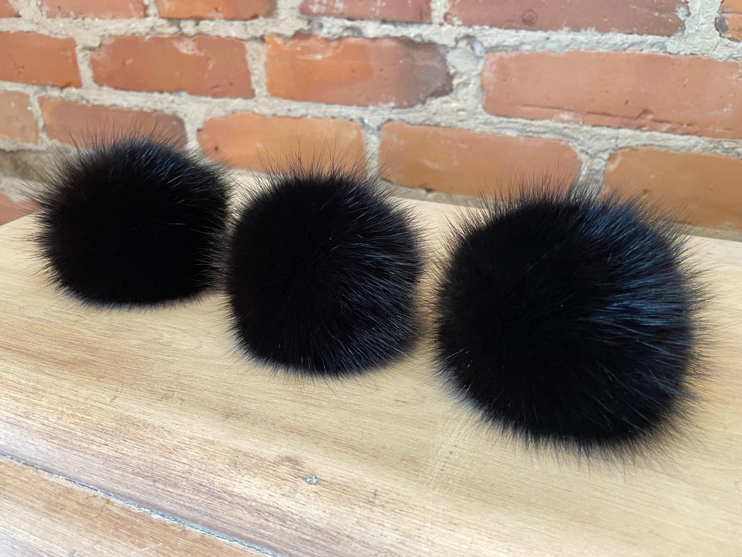 Black Fox Pom, 3 Inch