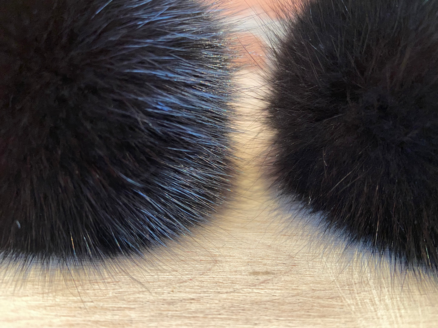 Black Fox Pom, 3 Inch